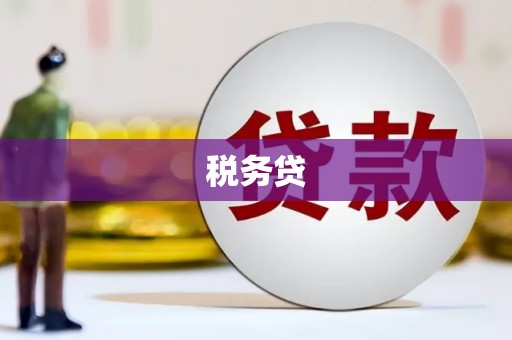 凉山税务贷
