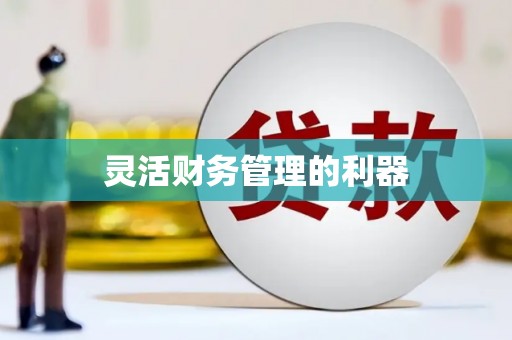 凉山灵活财务管理的利器
