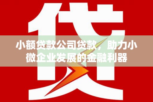 凉山小额贷款公司贷款，助力小微企业发展的金融利器