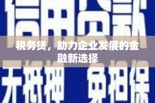 凉山税务贷，助力企业发展的金融新选择