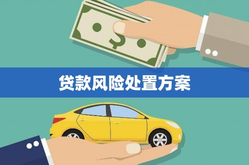 凉山贷款风险处置方案