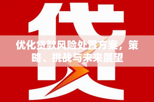 凉山优化贷款风险处置方案，策略、挑战与未来展望