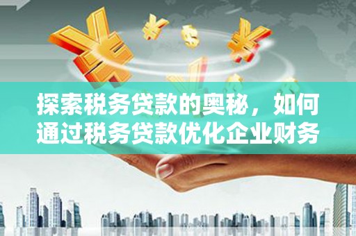 凉山探索税务贷款的奥秘，如何通过税务贷款优化企业财务