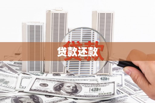 凉山贷款还款