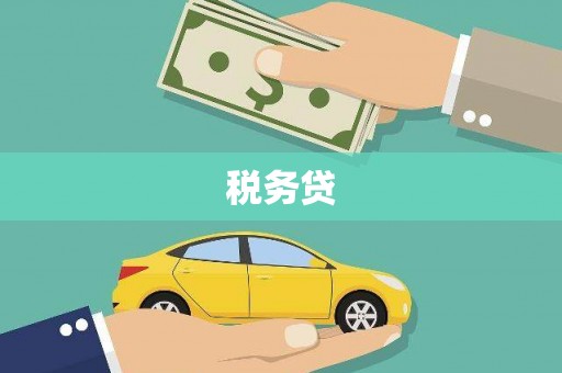 凉山税务贷