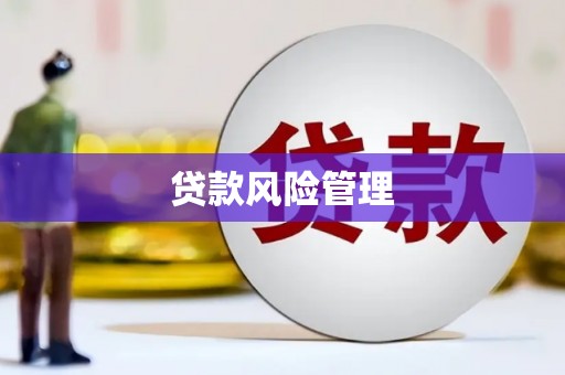 凉山贷款风险管理