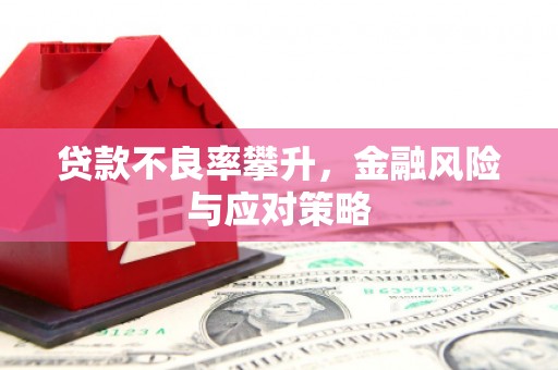 凉山贷款不良率攀升，金融风险与应对策略