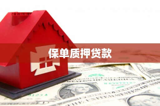 凉山保单质押贷款