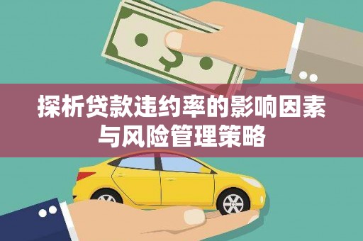 凉山探析贷款违约率的影响因素与风险管理策略