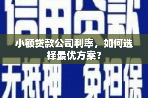 凉山小额贷款公司利率，如何选择最优方案？