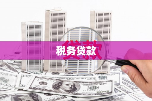 凉山税务贷款