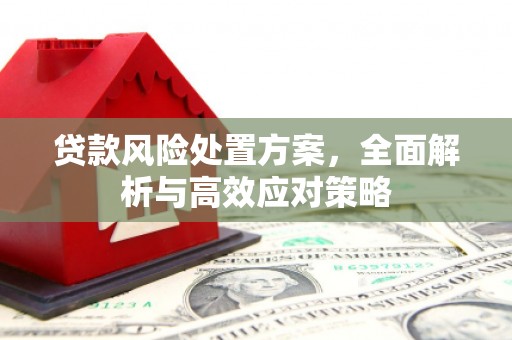 凉山贷款风险处置方案，全面解析与高效应对策略