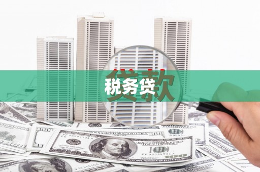 凉山税务贷