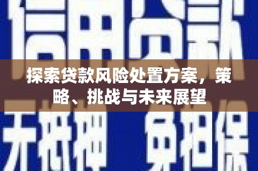 凉山探索贷款风险处置方案，策略、挑战与未来展望