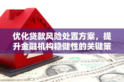 凉山优化贷款风险处置方案，提升金融机构稳健性的关键策略