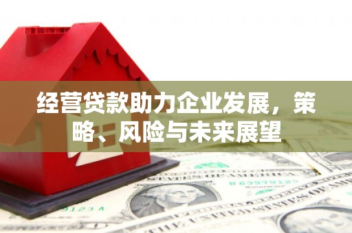 凉山经营贷款助力企业发展，策略、风险与未来展望