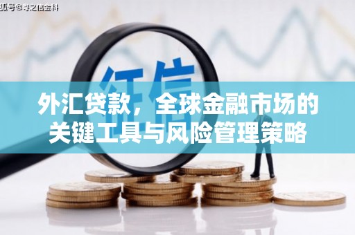 凉山外汇贷款，全球金融市场的关键工具与风险管理策略