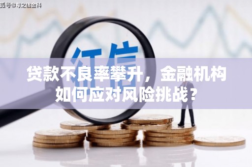 凉山贷款不良率攀升，金融机构如何应对风险挑战？