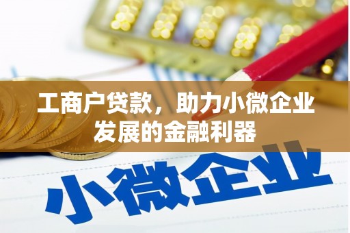 凉山工商户贷款，助力小微企业发展的金融利器