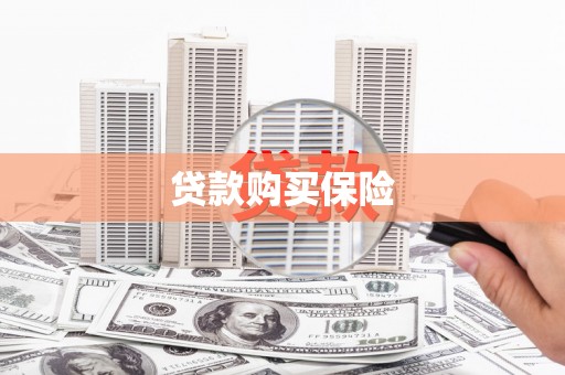 凉山贷款购买保险
