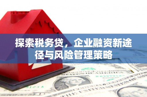 凉山探索税务贷，企业融资新途径与风险管理策略