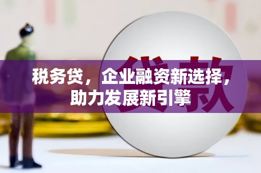 凉山税务贷，企业融资新选择，助力发展新引擎