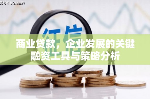 凉山商业贷款，企业发展的关键融资工具与策略分析