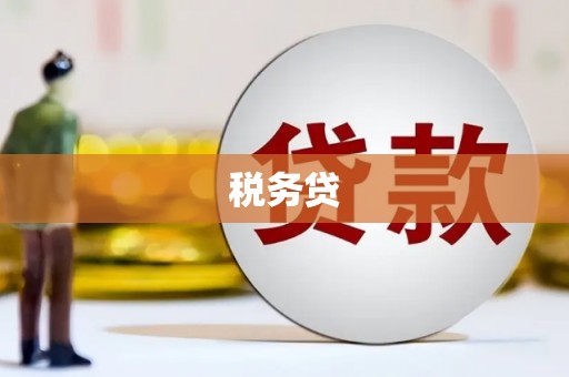 凉山税务贷