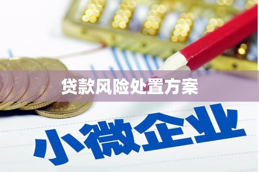 凉山贷款风险处置方案