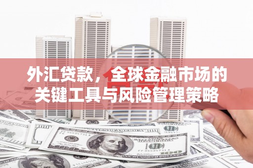 凉山外汇贷款，全球金融市场的关键工具与风险管理策略