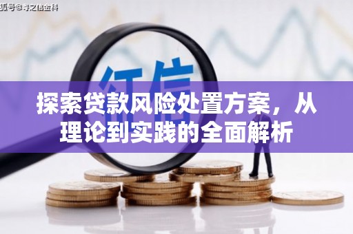 凉山探索贷款风险处置方案，从理论到实践的全面解析