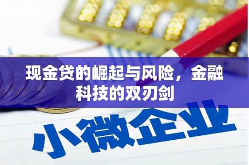 凉山现金贷的崛起与风险，金融科技的双刃剑