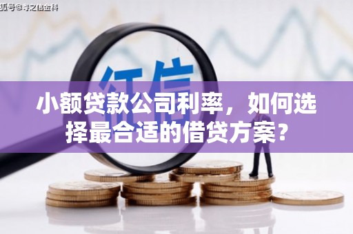 凉山小额贷款公司利率，如何选择最合适的借贷方案？
