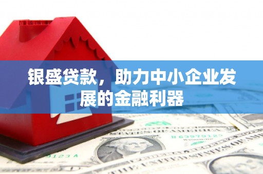 凉山银盛贷款，助力中小企业发展的金融利器