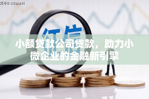 凉山小额贷款公司贷款，助力小微企业的金融新引擎