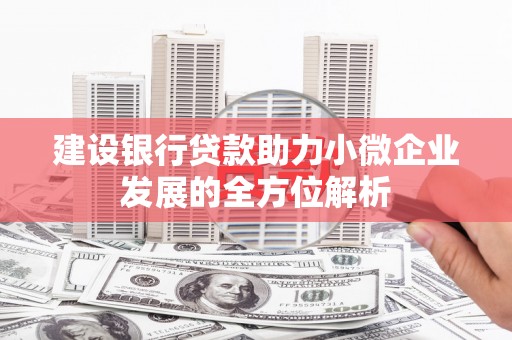 凉山建设银行贷款助力小微企业发展的全方位解析