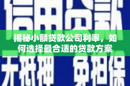 凉山揭秘小额贷款公司利率，如何选择最合适的贷款方案