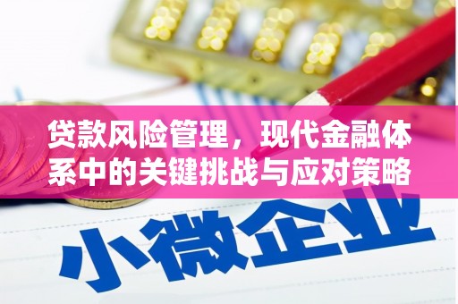 凉山贷款风险管理，现代金融体系中的关键挑战与应对策略