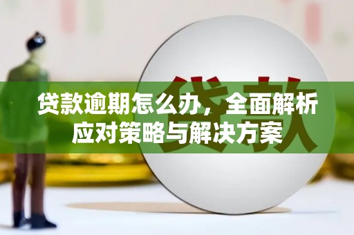 凉山贷款逾期怎么办，全面解析应对策略与解决方案
