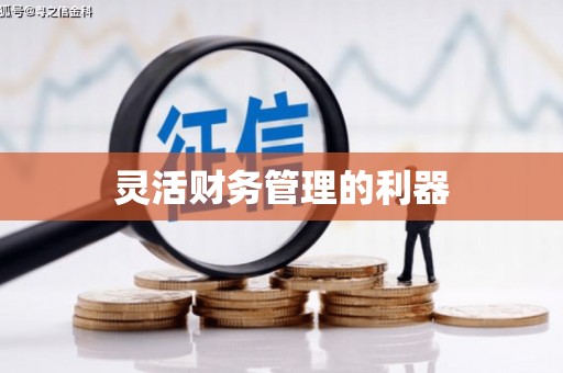 凉山灵活财务管理的利器