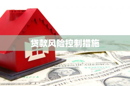 凉山贷款风险控制措施