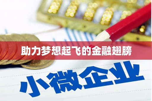 凉山助力梦想起飞的金融翅膀