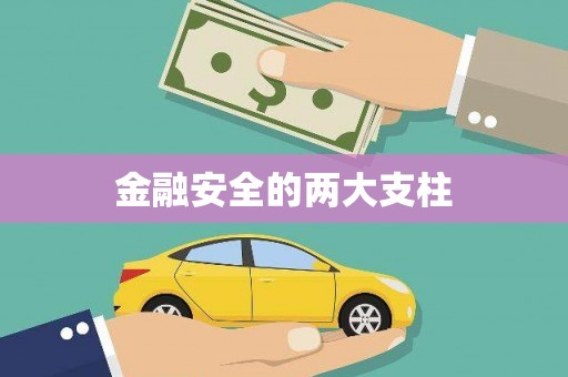 凉山金融安全的两大支柱