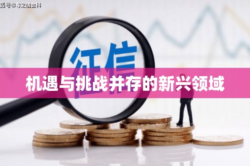 凉山机遇与挑战并存的新兴领域