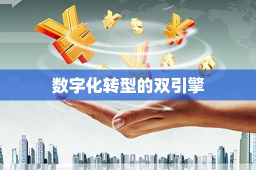 凉山数字化转型的双引擎