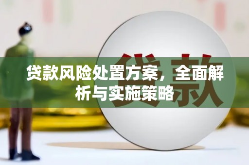 凉山贷款风险处置方案，全面解析与实施策略