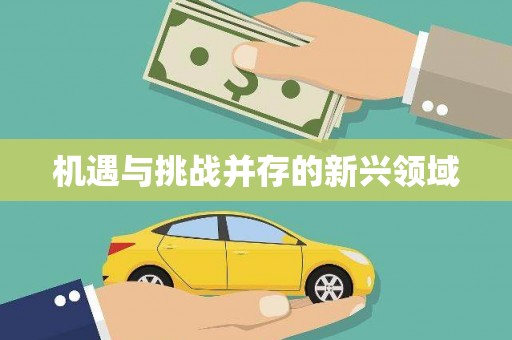 凉山机遇与挑战并存的新兴领域