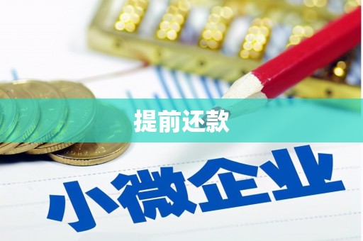 凉山提前还款