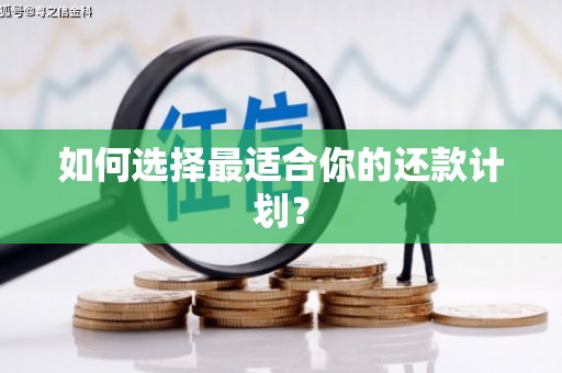 凉山如何选择最适合你的还款计划？