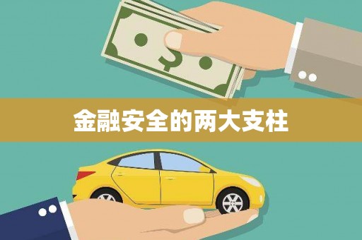凉山金融安全的两大支柱